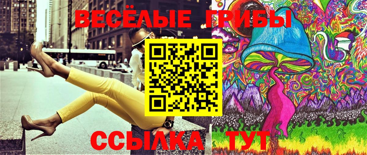 Псилоцибиновые грибы Psilocybine cubensis Протвино